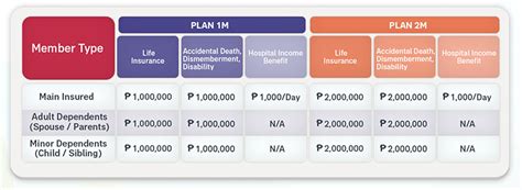 bpi aia eplan|bpi aia website.